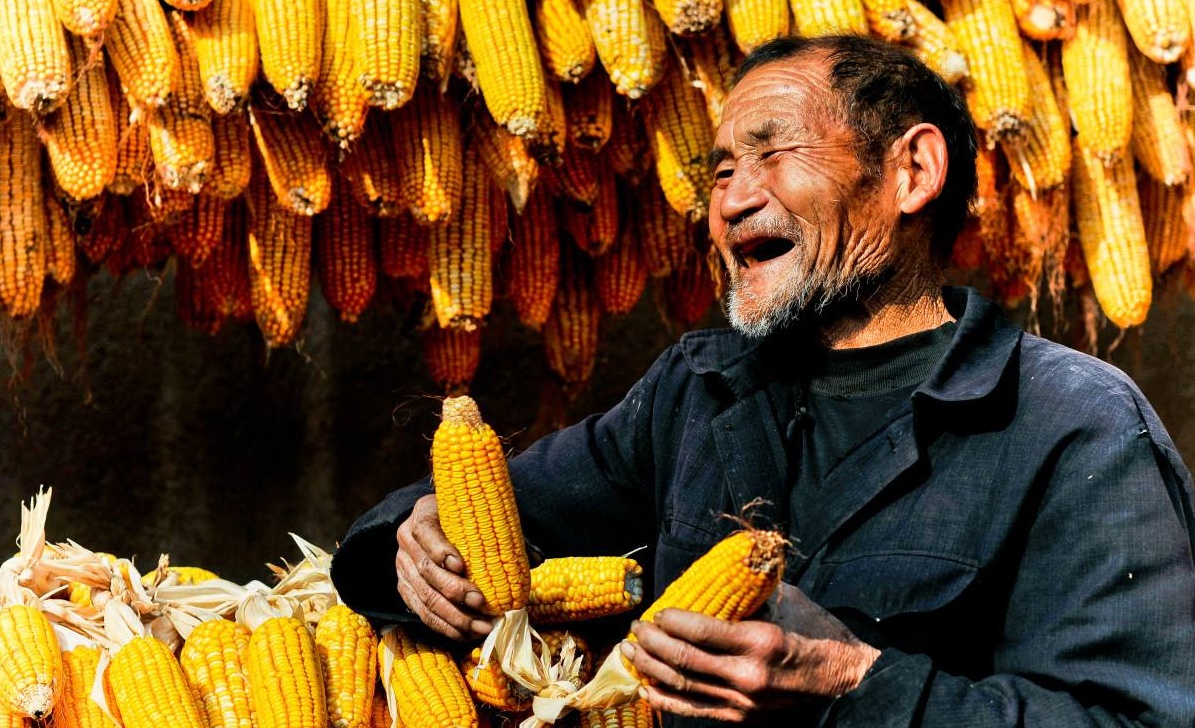 你觉得现在农村的生活如何?你更愿意在城市生活还是农村生活呢?