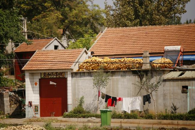 这样的农家风景你看过吗?它就在山东沂源!