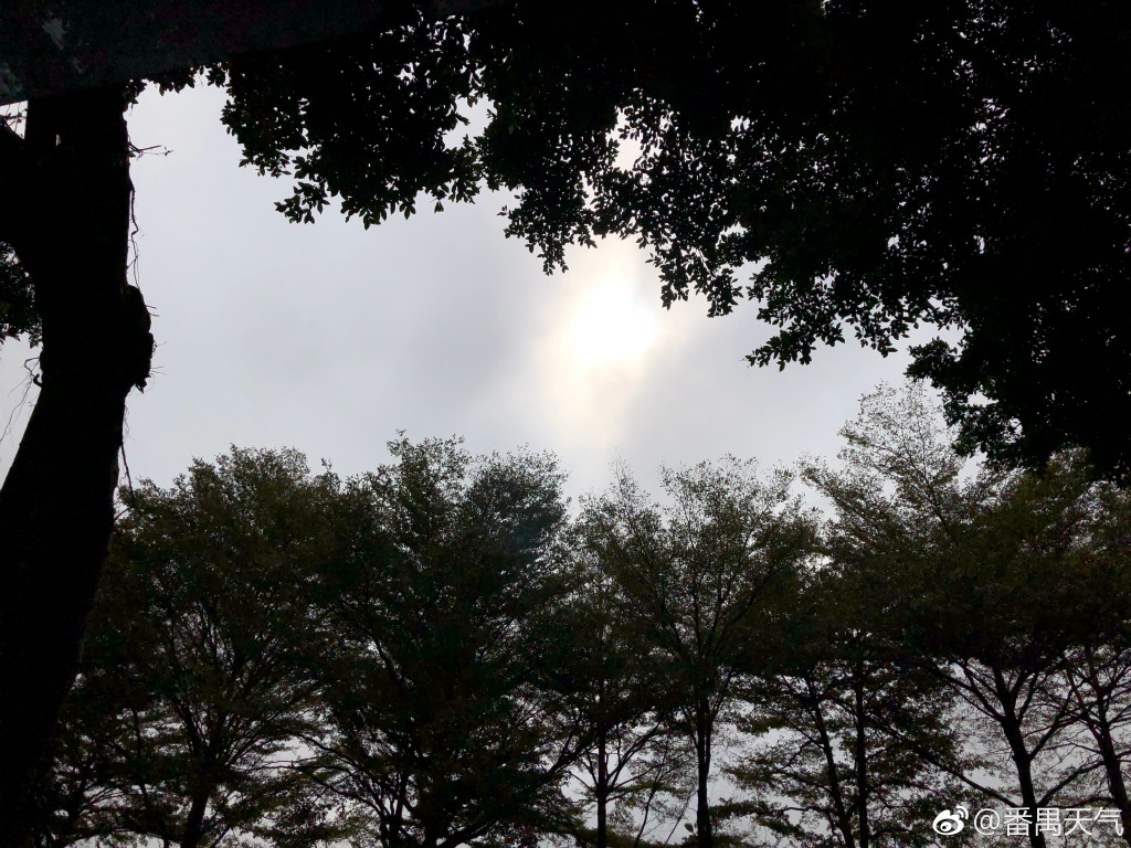 廣東未來幾天陽光難見 迎來持續陰天和下雨 更扎心的還有這個!