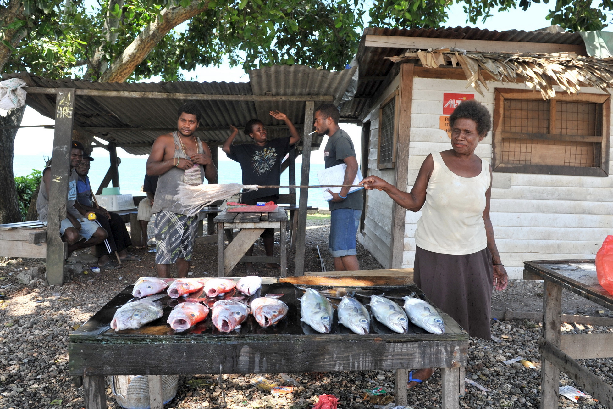 所罗门群岛风光