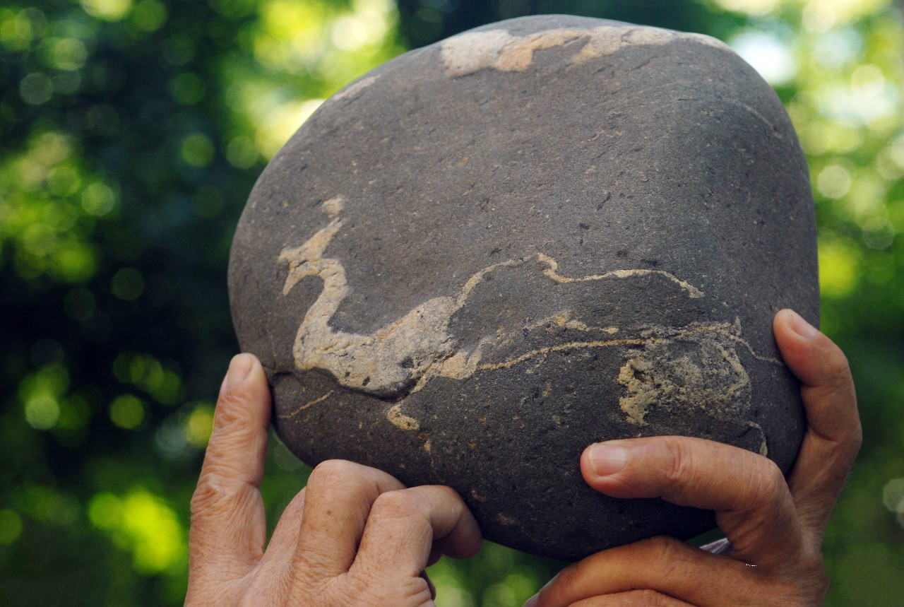 海南这名男子捡到一块奇石哭笑不得,11年前拒绝他人高价求购