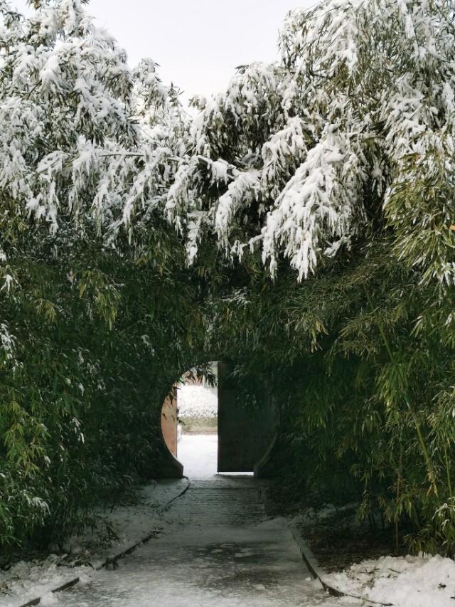 雪漠香山 净如琉璃 晏游雪景美爆朋友圈