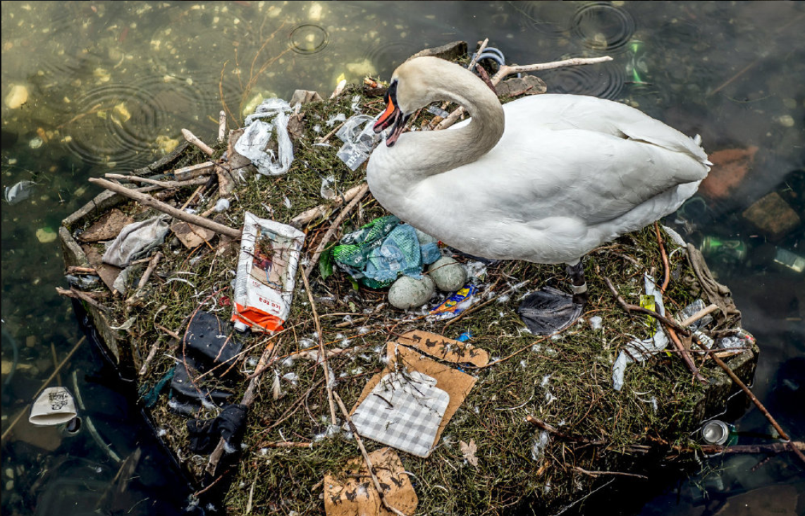 塑料- 热门商品专区