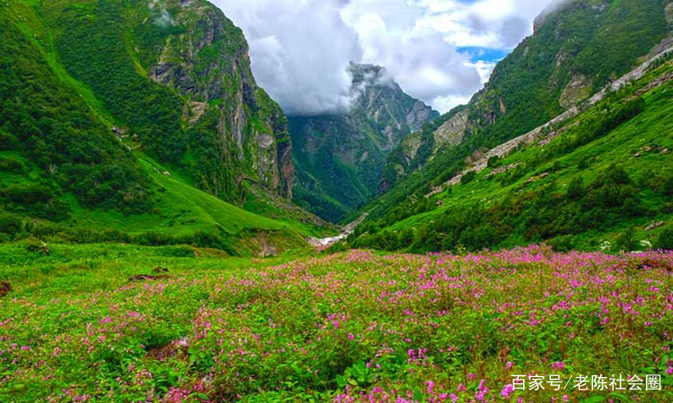 秀美的 baijiahao.baidu.com