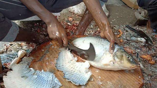 卖鱼老板火了,看到大叔手上的东西后,网友:鱼夫界的一股清流