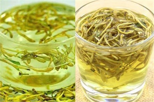 用金银花泡水的功效有哪些 必知饮用禁忌大全