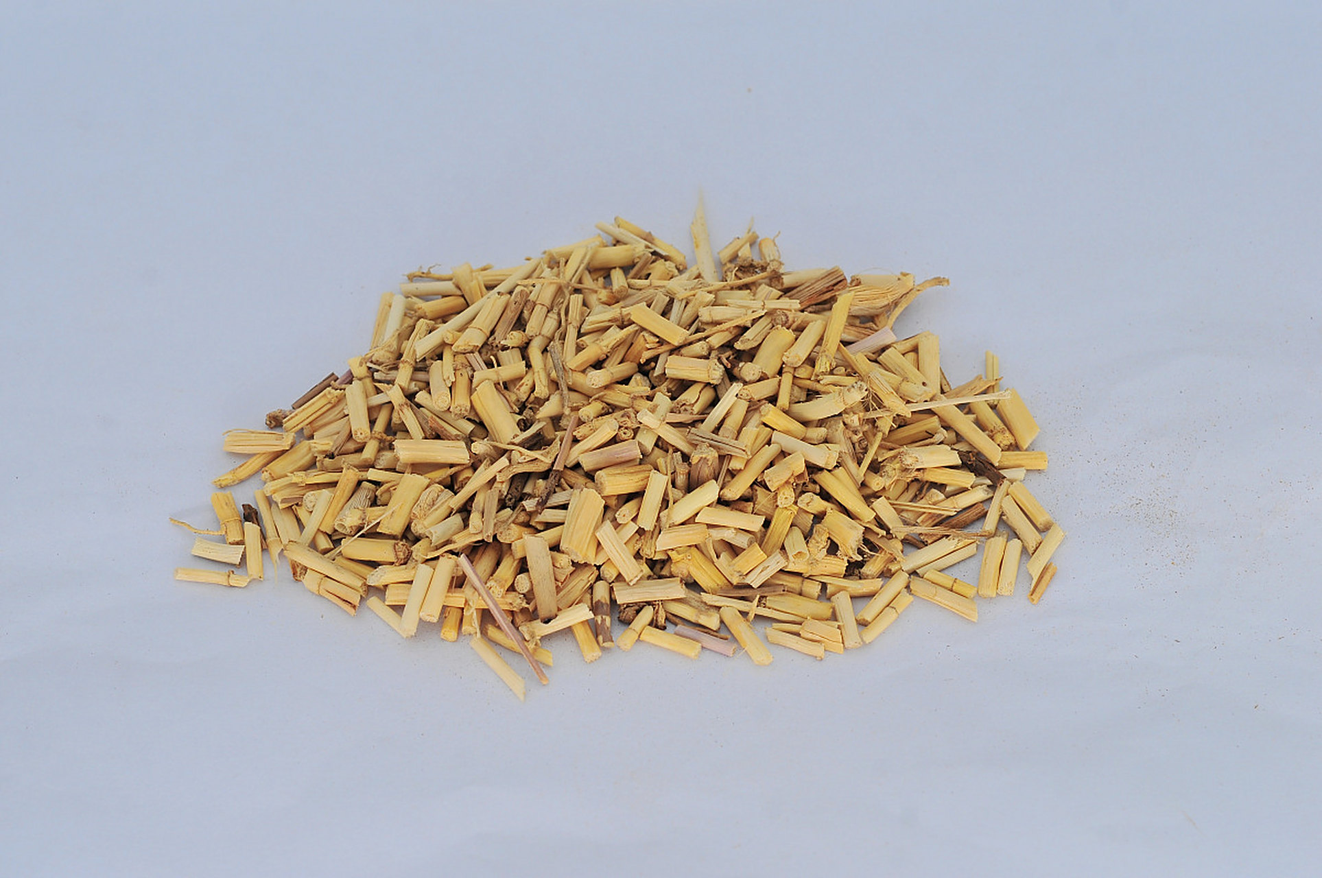 淋病有良效【仅供参考】  功效:清热利尿,凉血止血  组成:白茅根(大