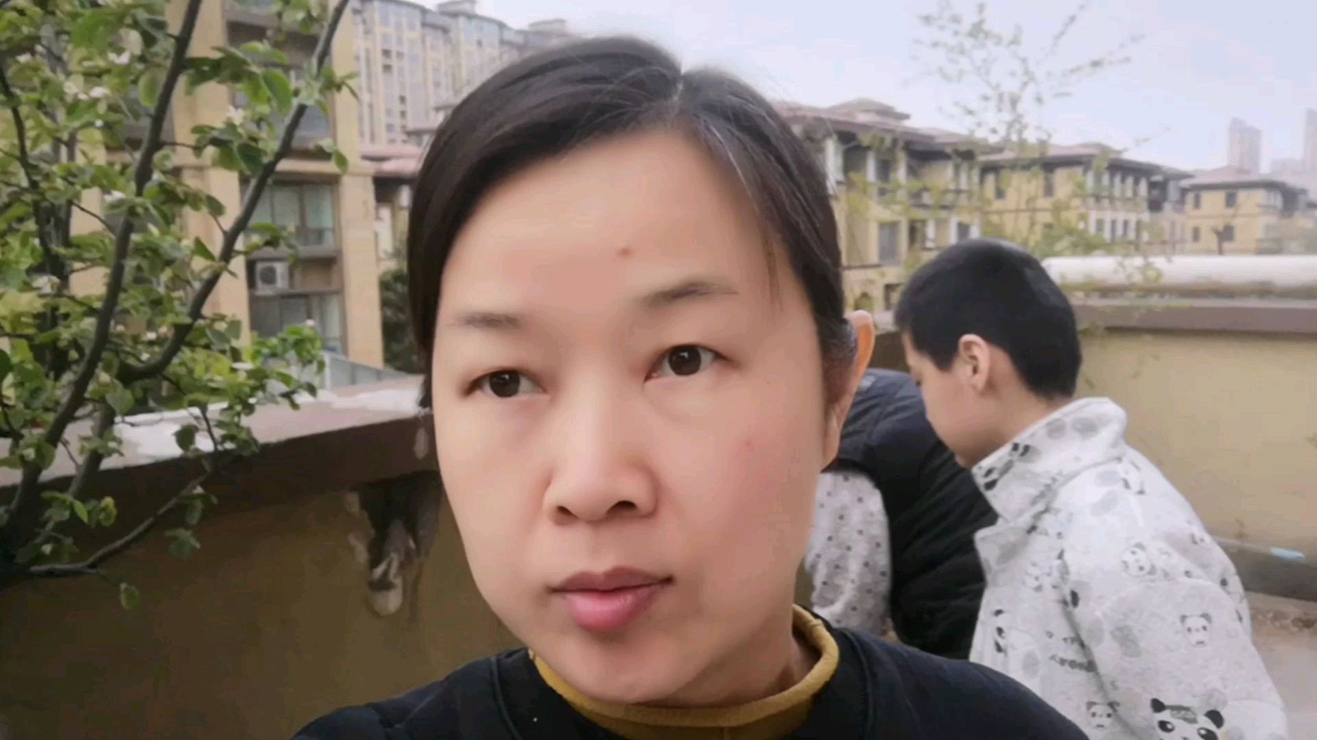 在家也能种植青菜,来看看吧!