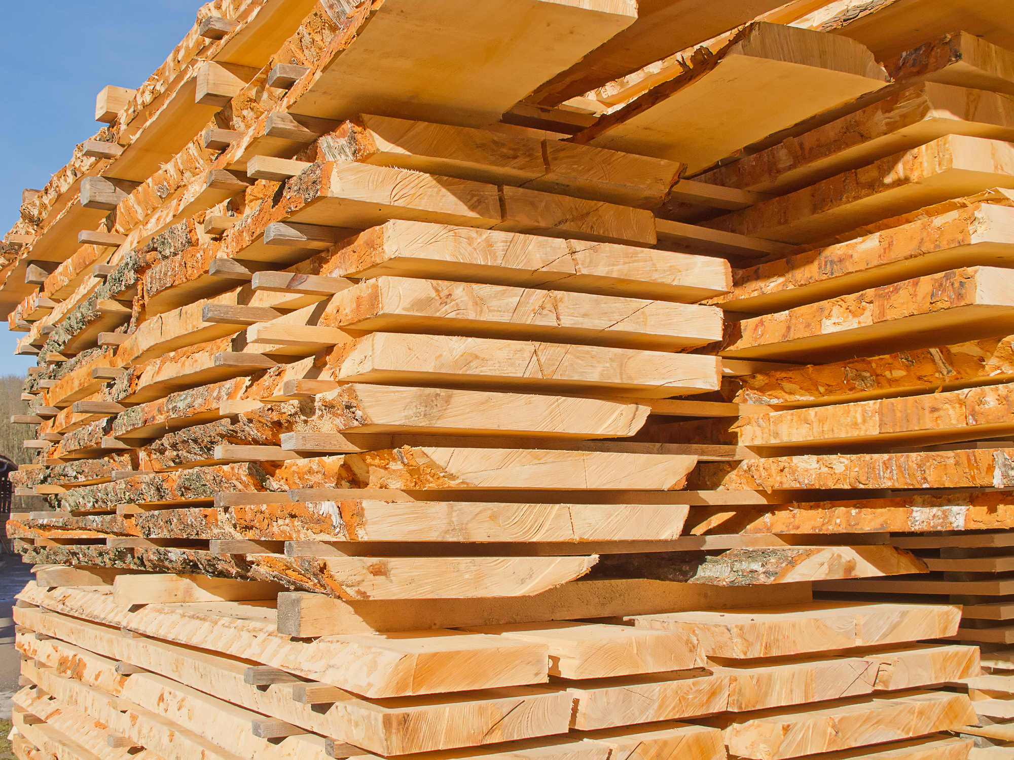 百度爱采购首页 商品专题_整板原木的弦切方式 锯好后的木料并非直接