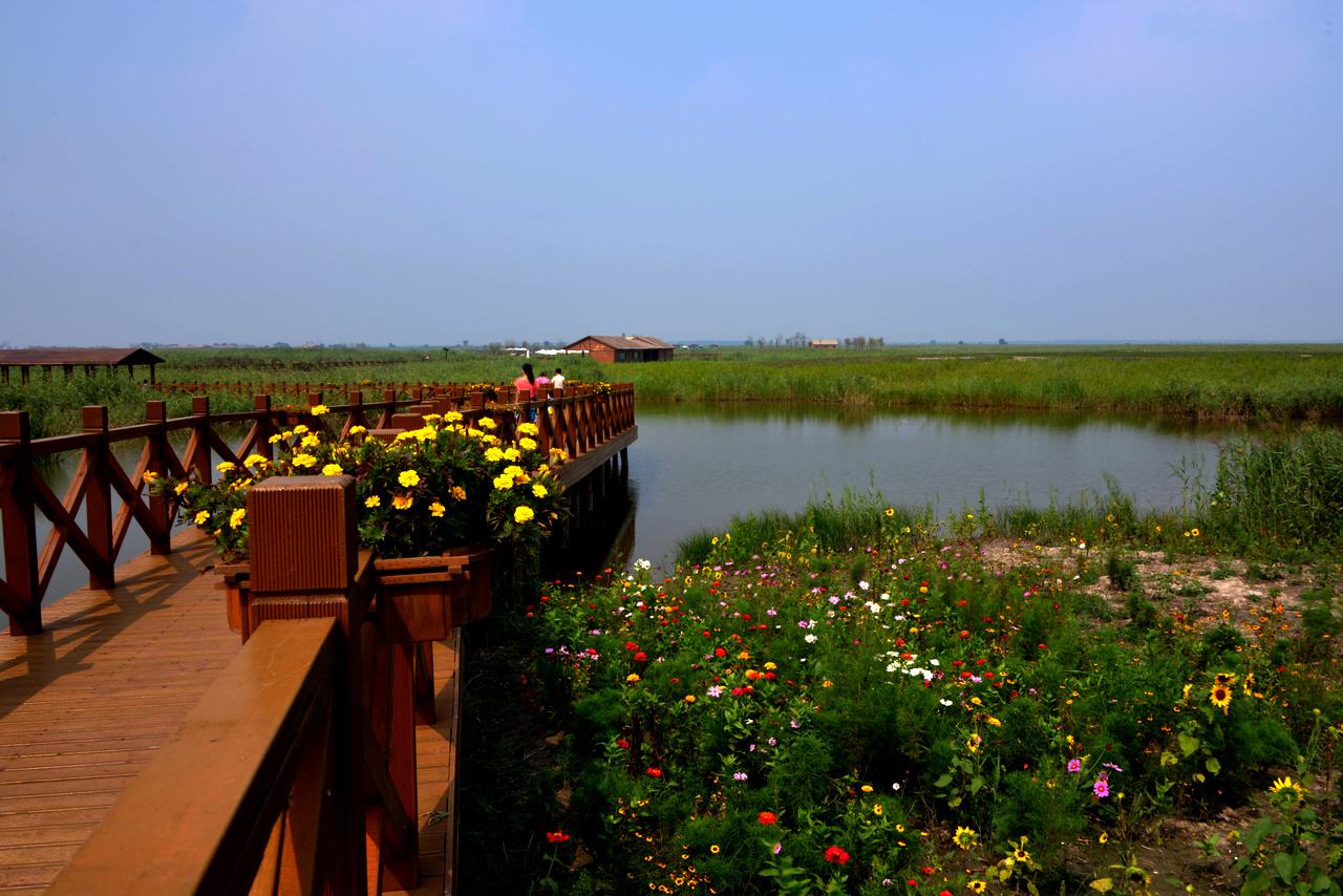 盤點環境很美的旅遊景點,你去過宜興竹海,天津七里海國家溼地公園嗎