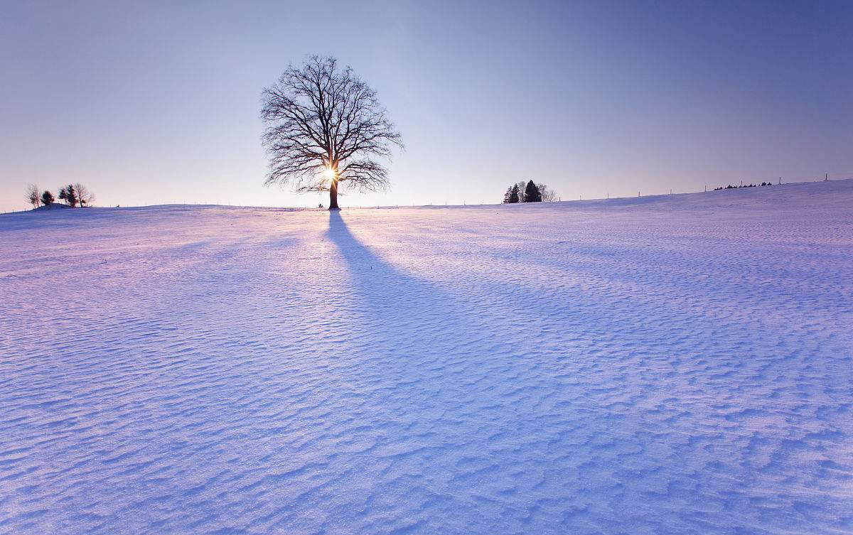 美图欣赏:冬天,一个银装素裹的季节,放眼看去一片白茫茫的景色