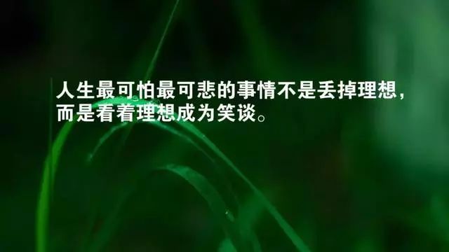 早安正能量图片语录:在能奋斗时用尽全力,在能改变时竭尽所有
