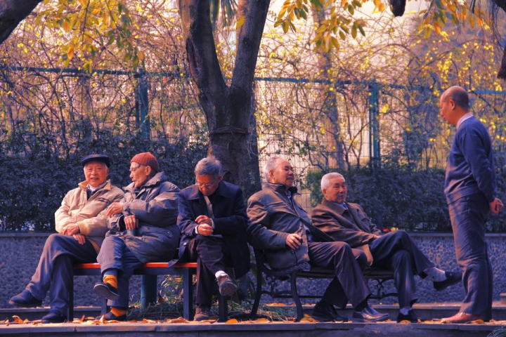 最美不过夕阳红!七旬气质奶奶做公益,退休生活多姿多彩