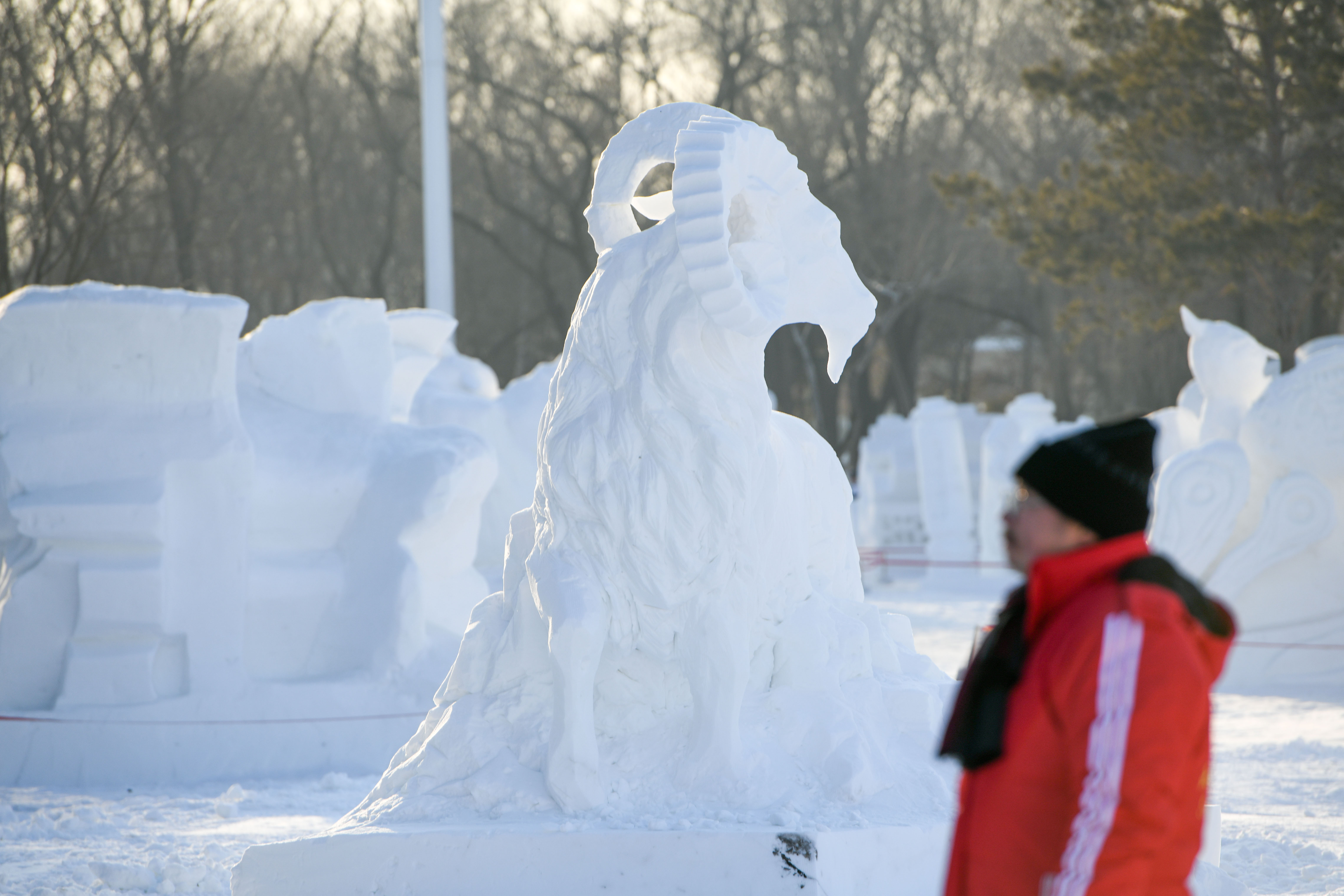 岛雪博会园区进行第三天的比赛,选手的雪雕作品已进入最后收尾阶段