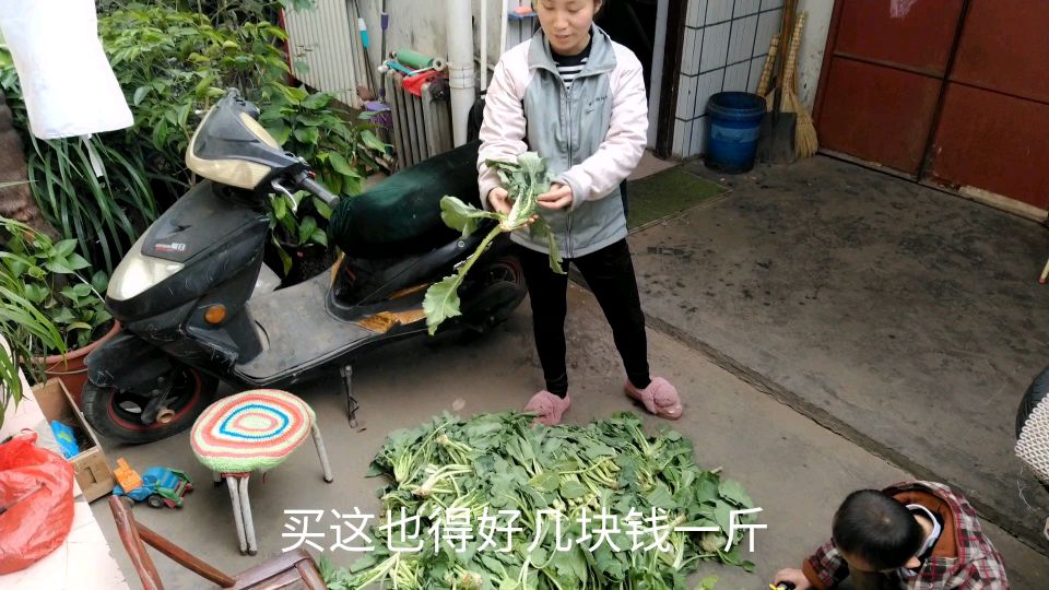 邻居送了一袋油菜苗,90后媳妇一边烫一边吃,炒菜吃那叫一个香甜