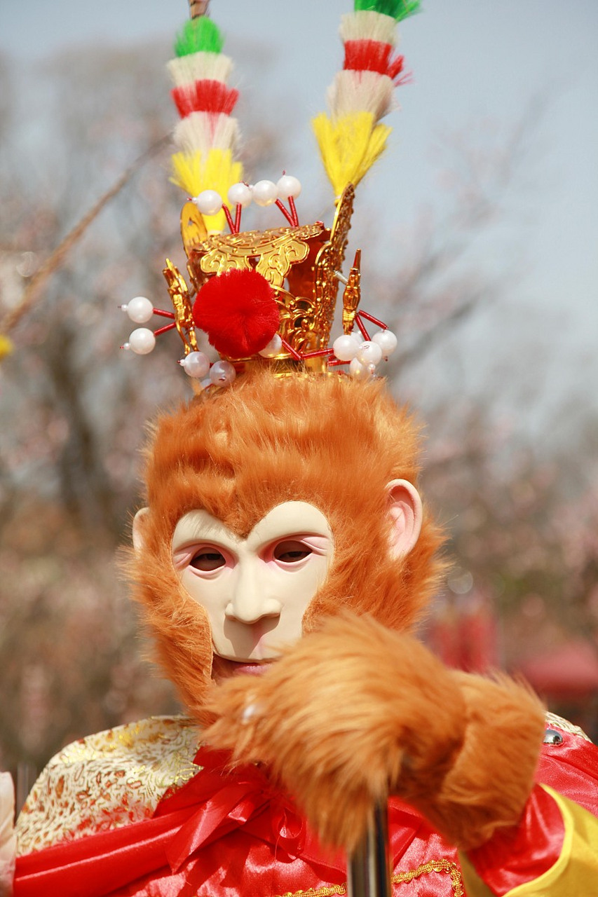 中国西南美猴王图片