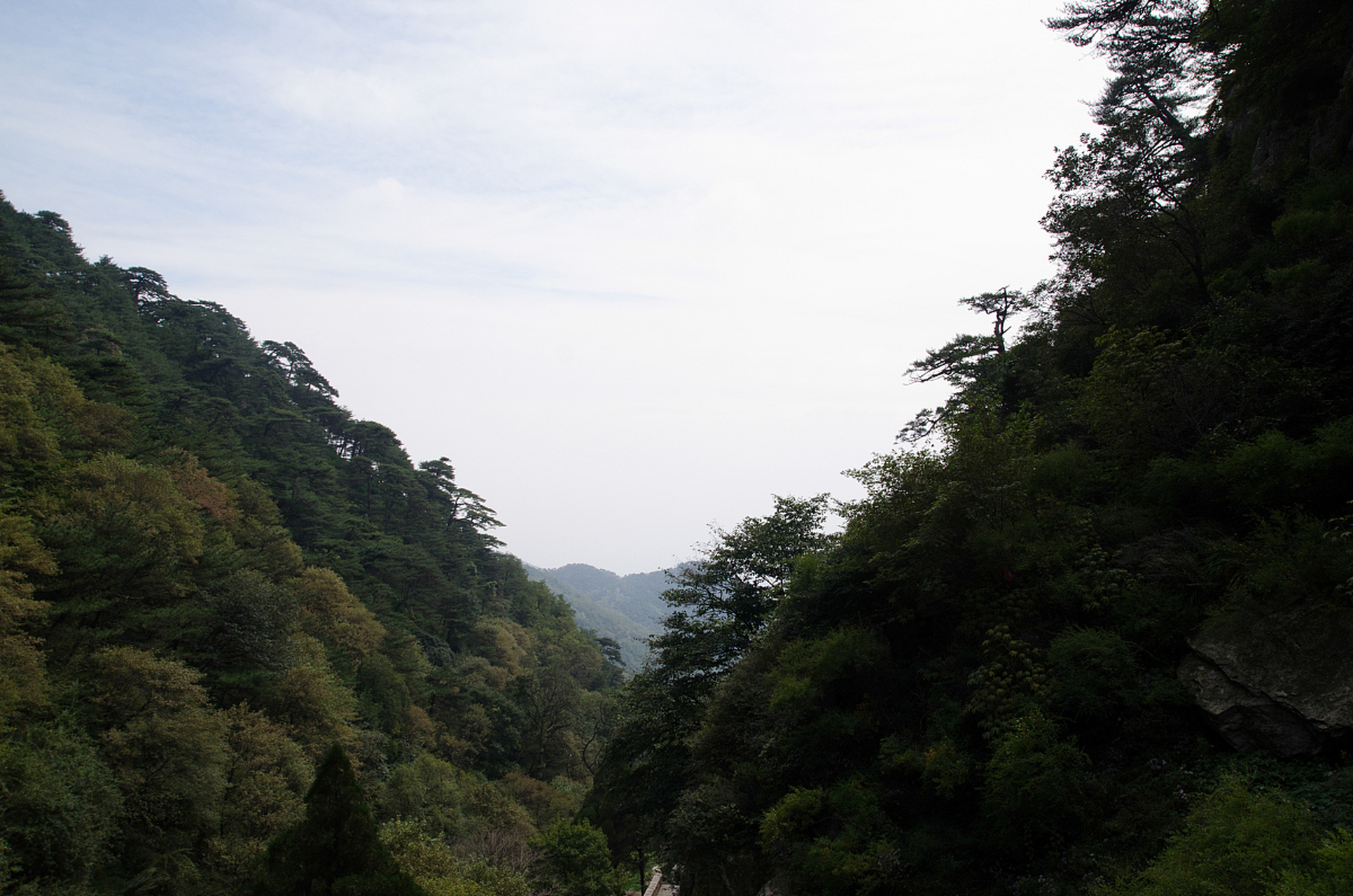 古田山保护区旅游攻略  古田山保护区,位于浙江省开化县苏庄镇,是一处