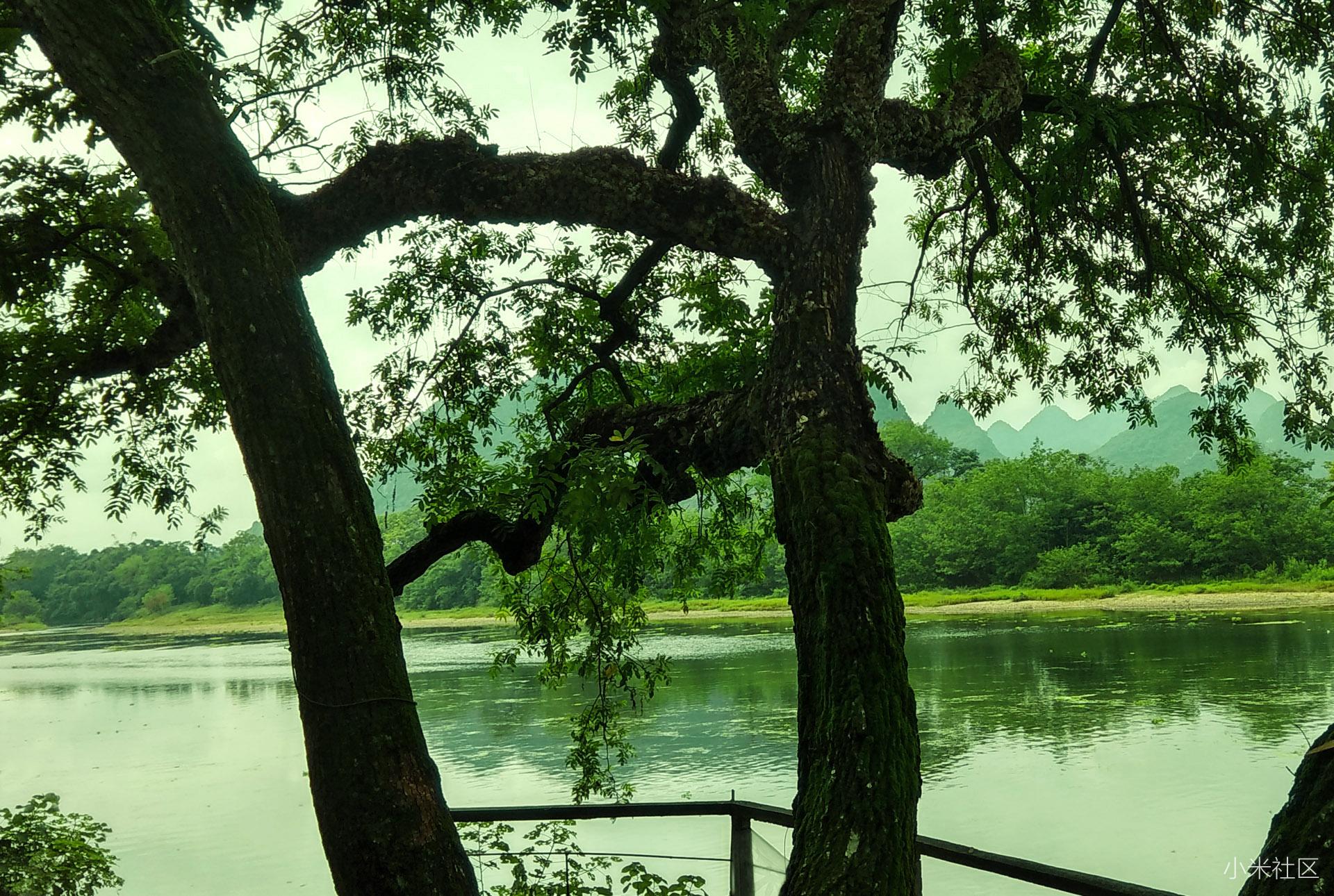 桂林龙门村景色宜人,你欣赏过这里的景色吗? 村中的街道.