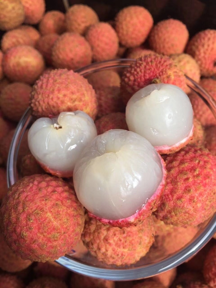 新鲜好吃的澳洲荔枝