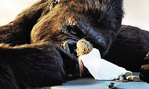 《金刚》,这是一部比较冒险的电影.