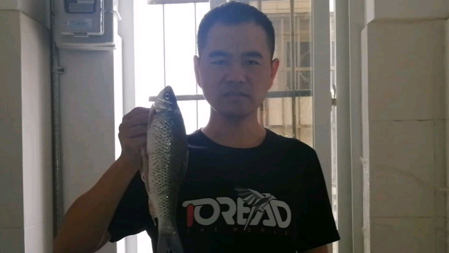 年夜饭上鱼是必备菜,这小伙的红烧做法一看就好吃,先收藏了