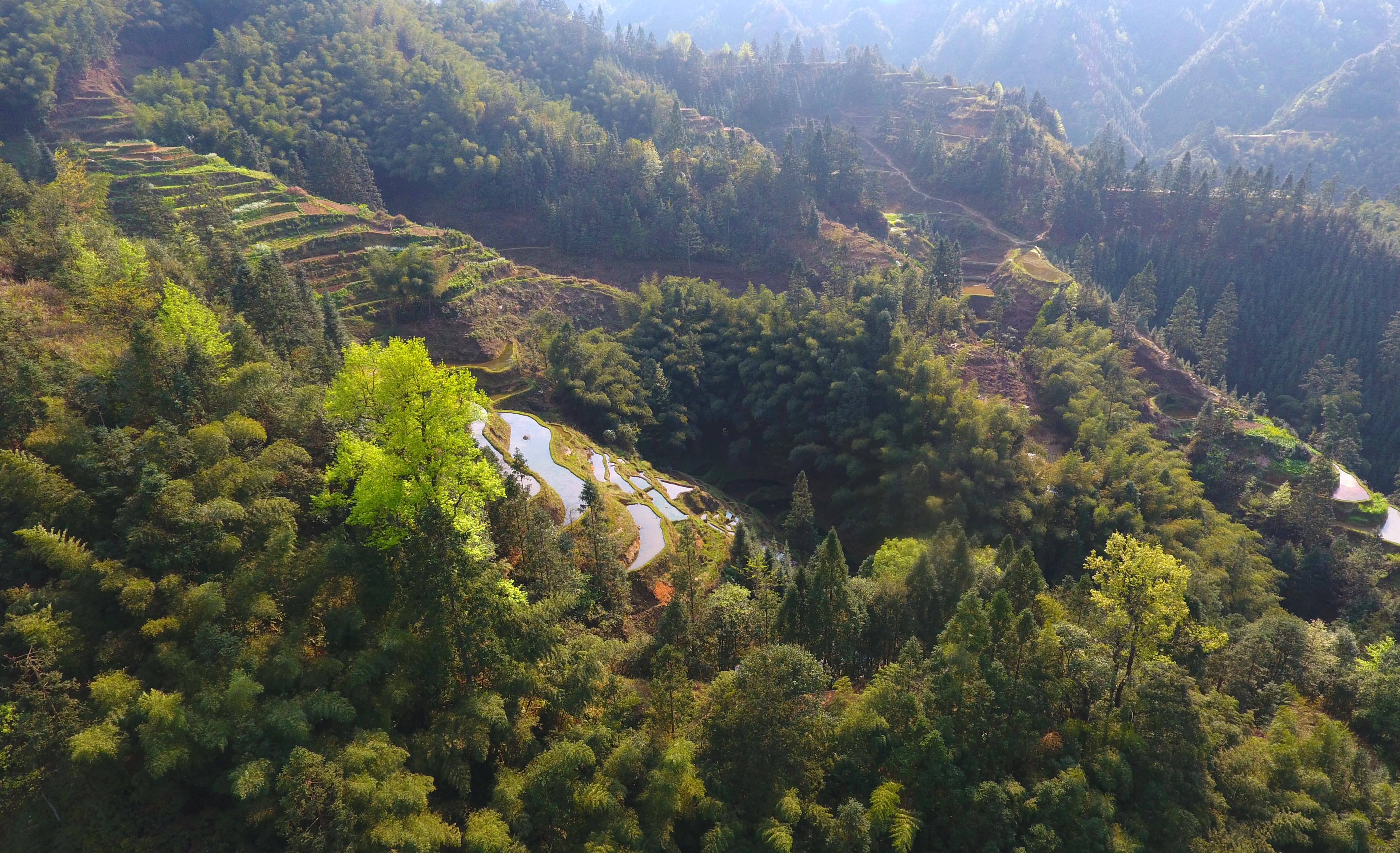 苗山脱贫影像志——春到大苗山(17)