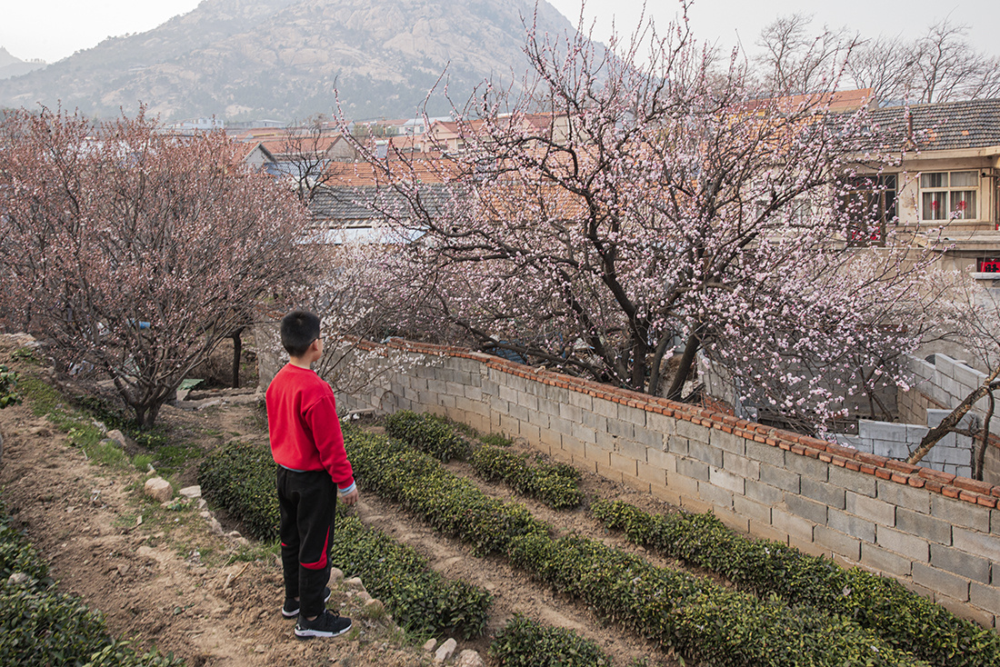 崂山庙石村图片图片