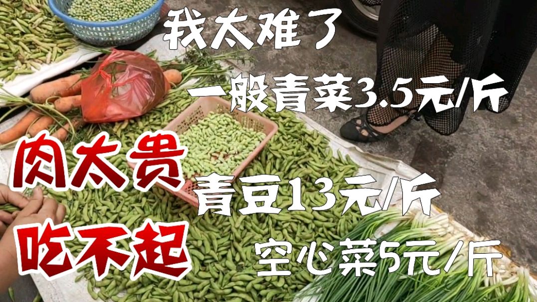 客家话:我太难了,出去逛一圈菜市场被吓到了,100多元钱不见了