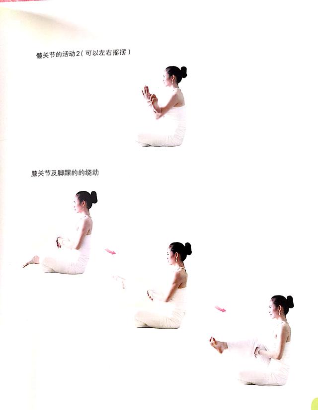阴瑜伽热身运动体式排课