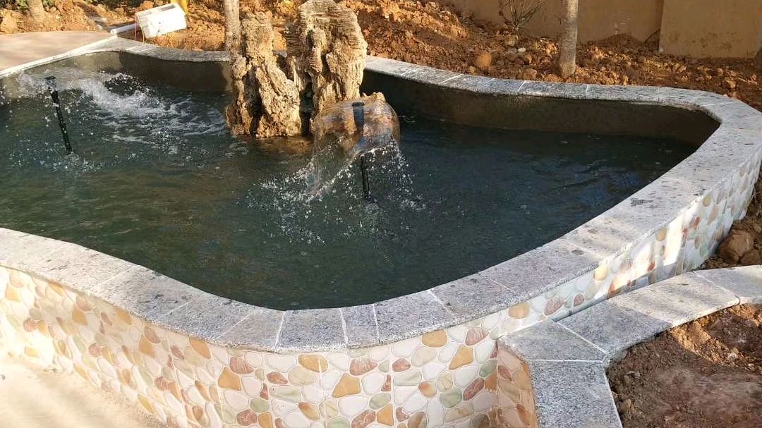 自建庭院鱼池的三大要素,朋友们都知道吗?