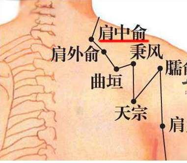 肩中俞的准确位置图图片