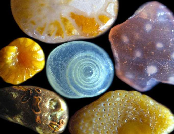 沙子放大300倍,原来是长这样!