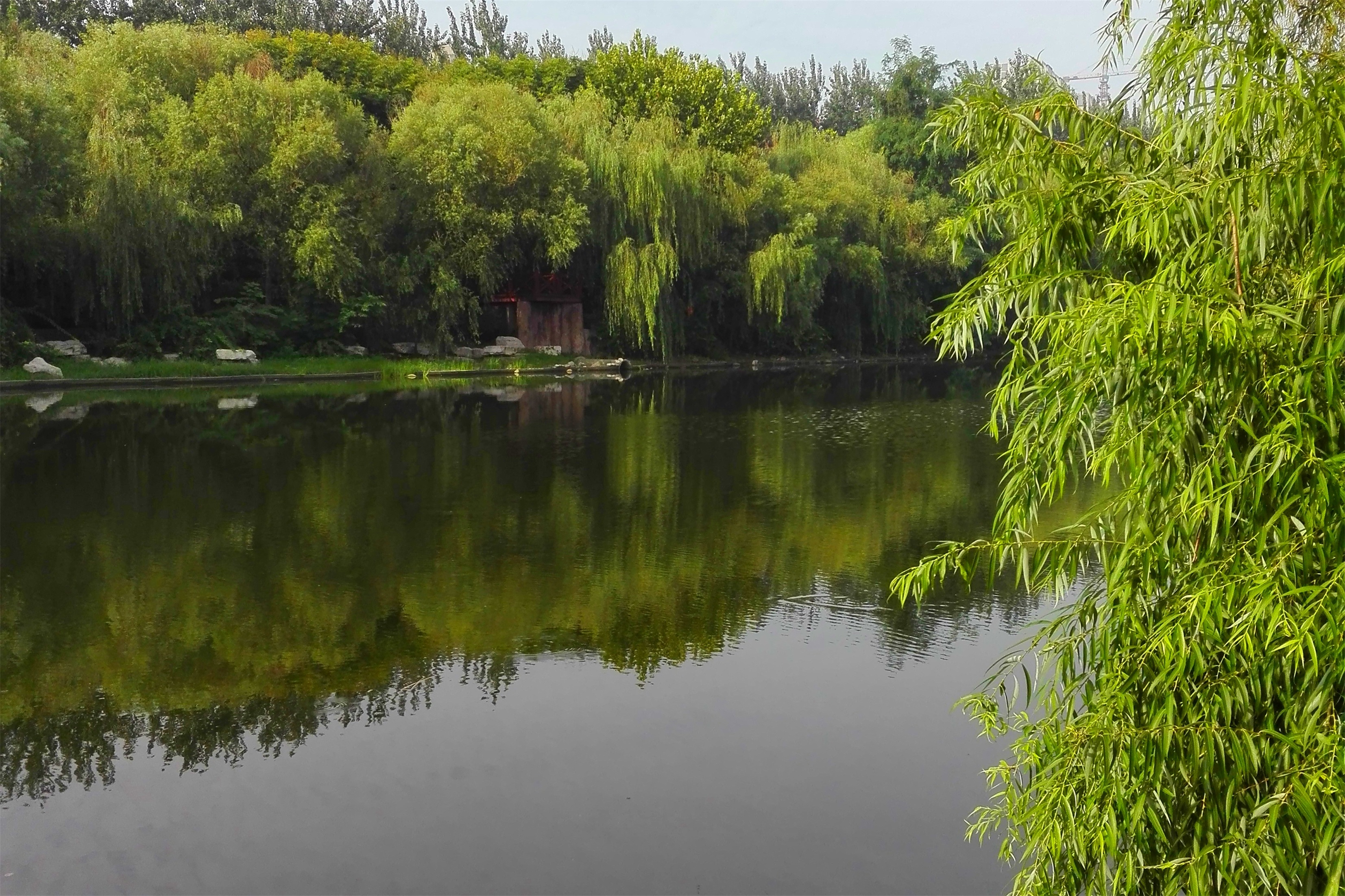 有一段时光停留在潍坊虞河的梦幻中