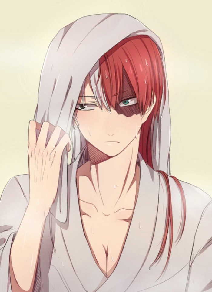 我的英雄学院:轰焦冻——不一般的青年才俊,不俗套的盛世美颜!