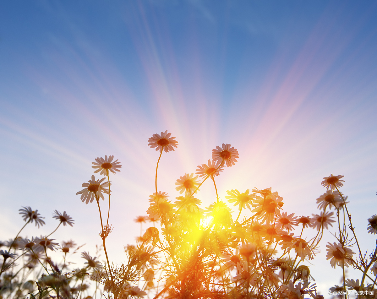 2024年中考作文押题预测:《阳.@知乎语文的动态