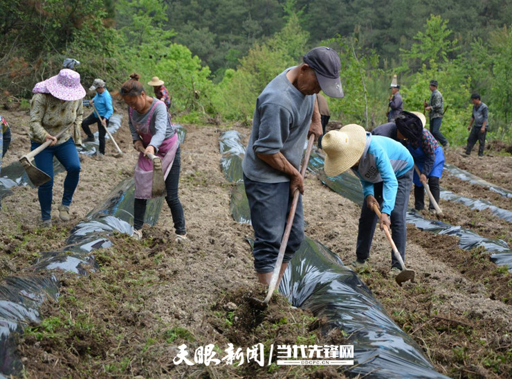 贵阳花溪孟关图片