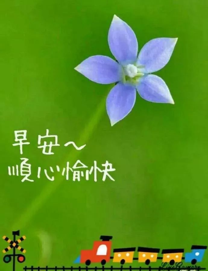 清晨早安问候唯美祝福图片,清晨早上好温馨祝福短信