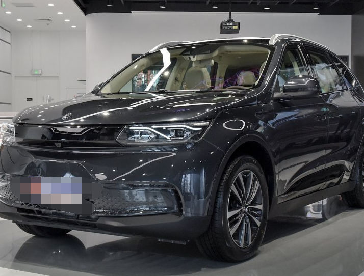 俊俏耐看的领坤ev,辨识度极高,初见确实被吸引到了!