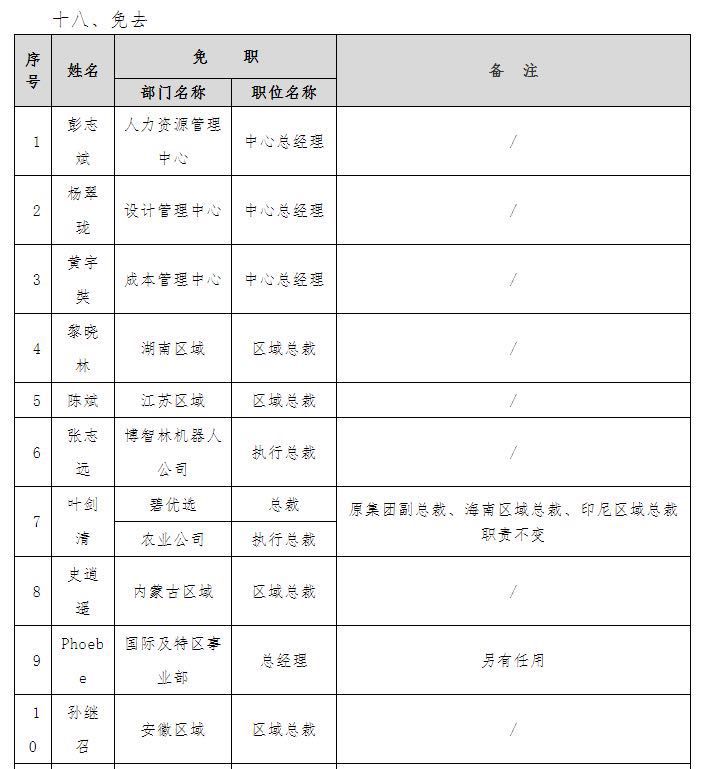 碧桂园杨智帆简历图片