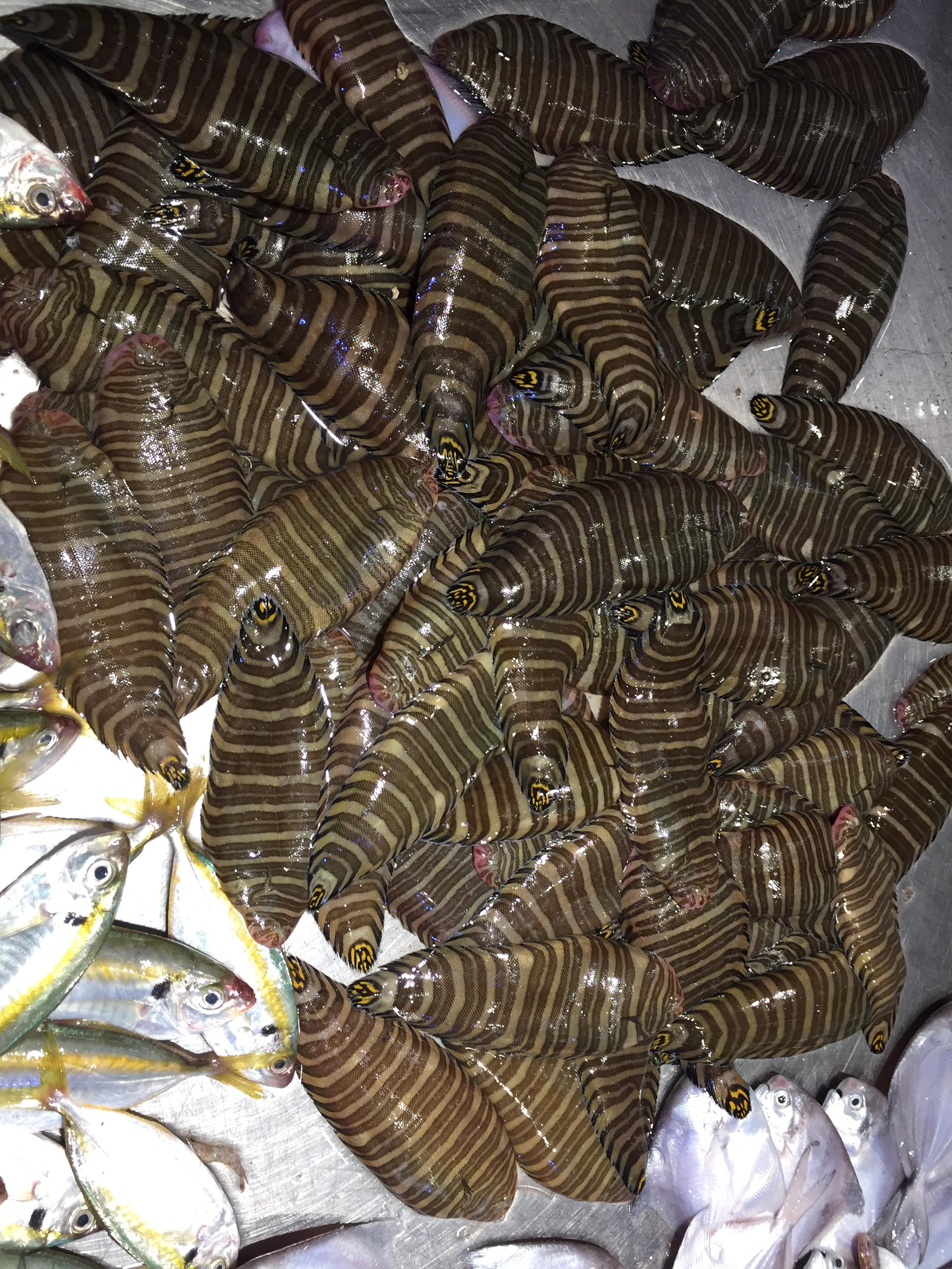 其实有一道海鱼杂汤也很好喝,就是拿一些海鱼混杂起来做汤,白色的汤