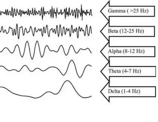 脑电波频率对于修行的影响及其应用