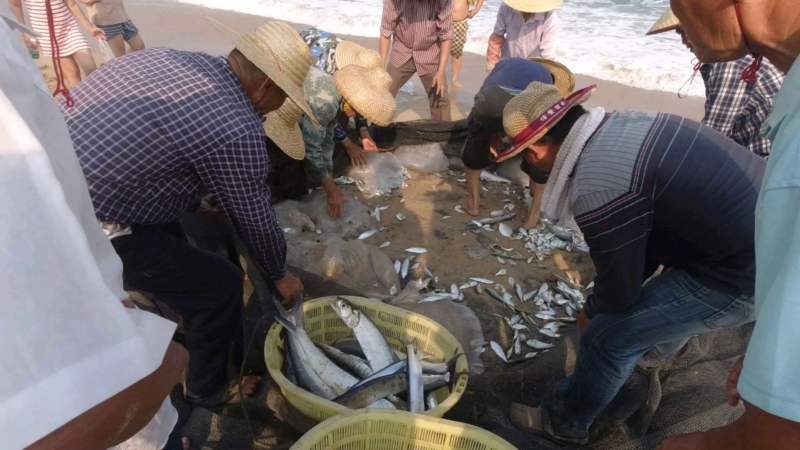 海南传统打鱼第3集，20个人一天努力，就这么点鱼获,生活,户外休闲,好看视频