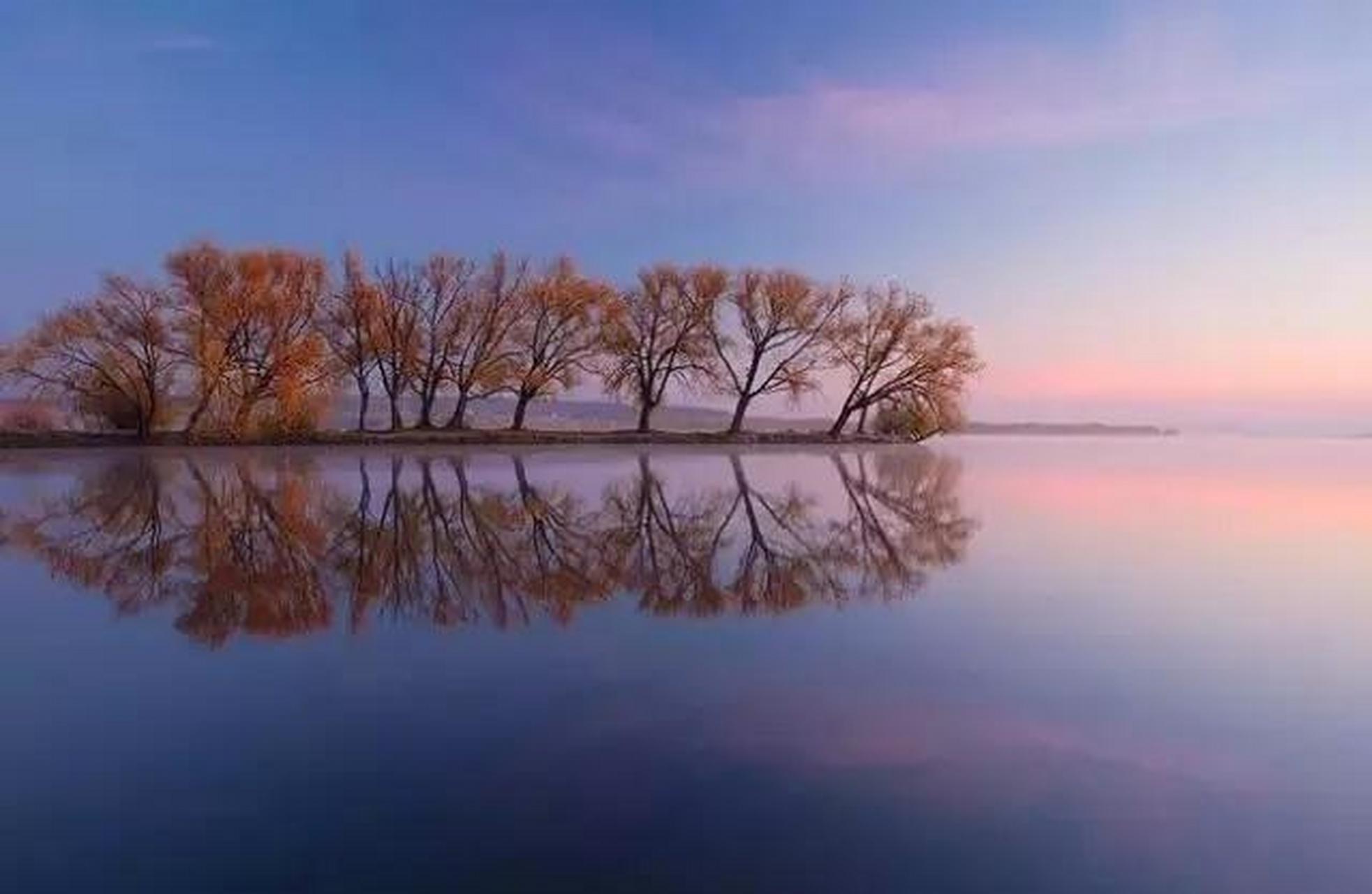 我们曾如此渴望命运的波澜,到最后才发现:人生最曼妙的风景,竟是内心