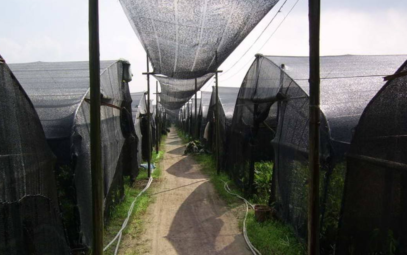 遮阳网 - 热门商品专区