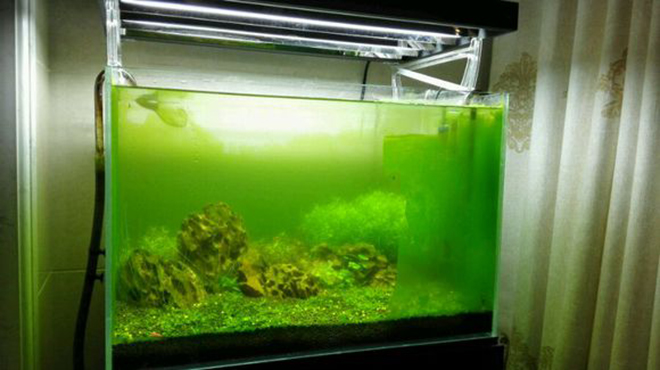 鱼缸- 热门商品专区