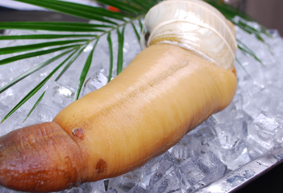 这外形像"棍子"的海鲜,你吃过没?它仅肉质肥硕,还能治疗肺虚