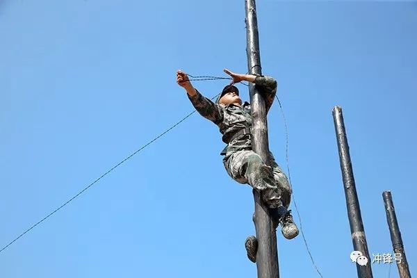 部队里究竟有哪些专业?准备参军的小伙伴了解一下!