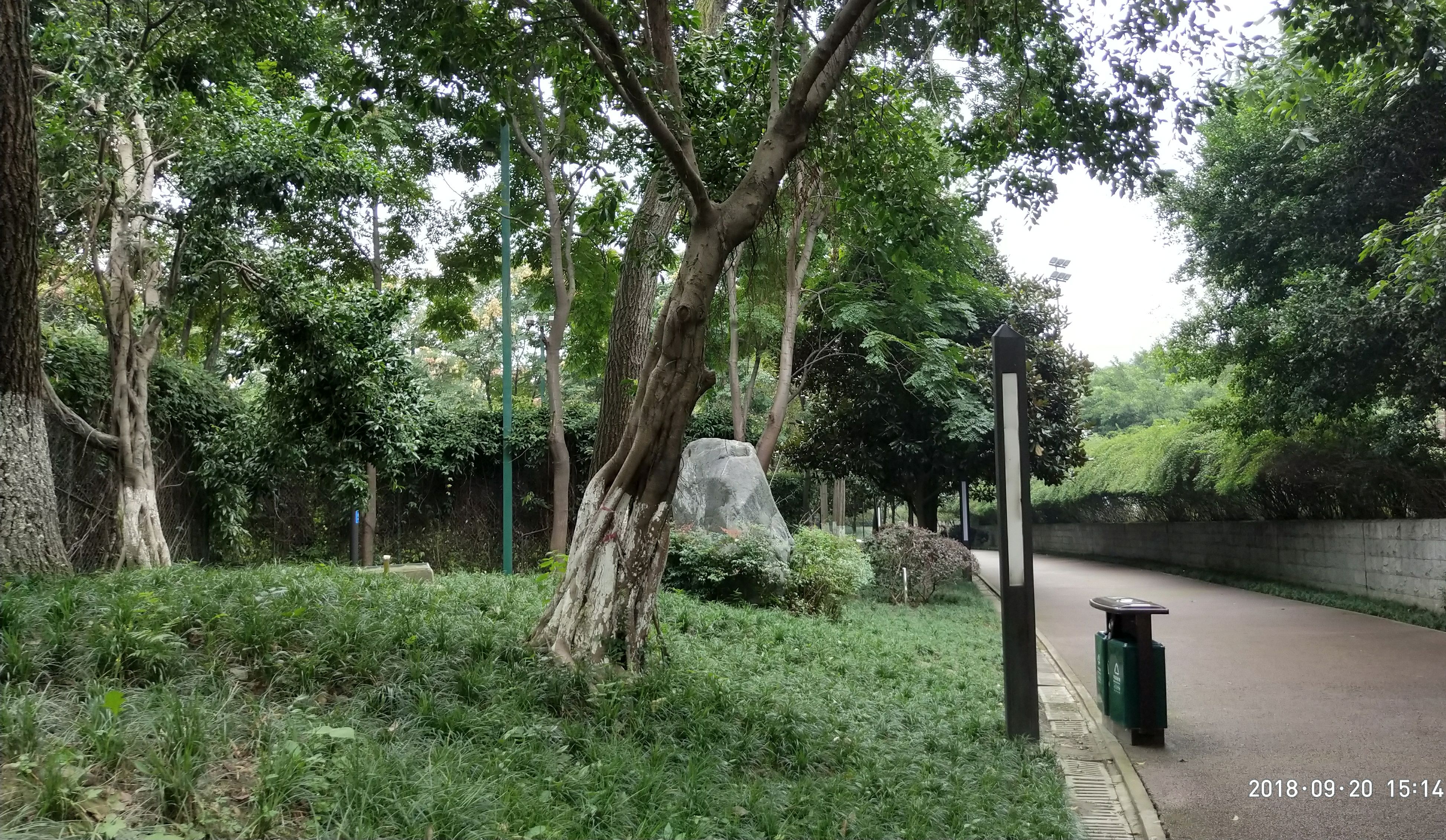成都市新都区体育森林公园