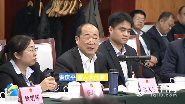 省人大代表秦庆平:技改升级投资超2亿 让齐河有更多蓝繁天