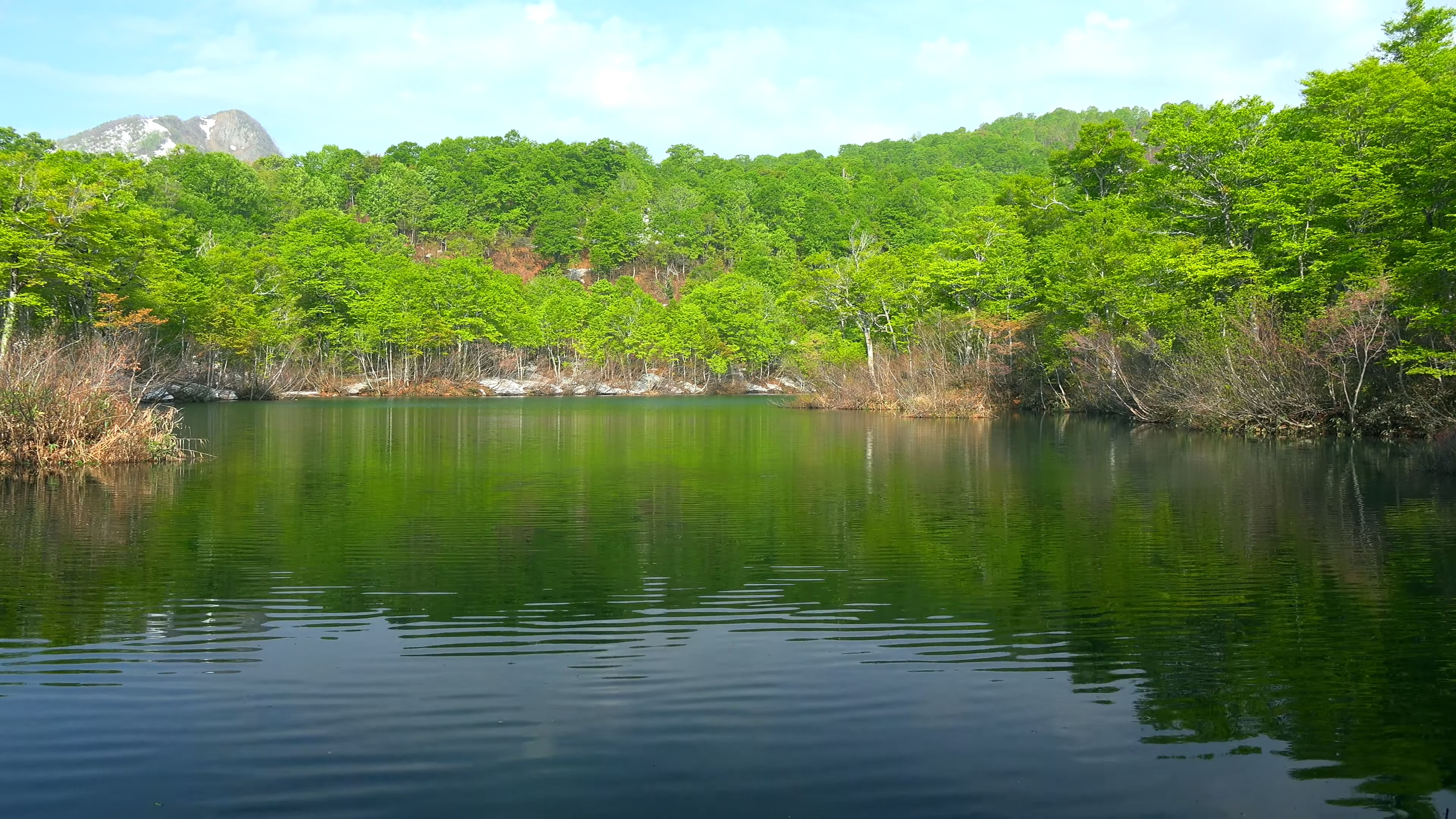 看看风景 | 第三十一期